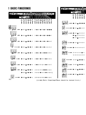 Flute Fingerings