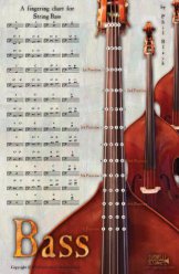 String Bass Fingering Chart Poster