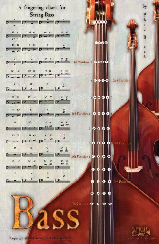 Upright Bass Chart